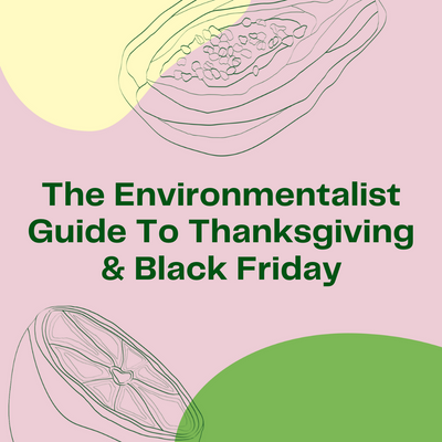 The Environmentalist Guide to Thanksgiving & Black Friday
