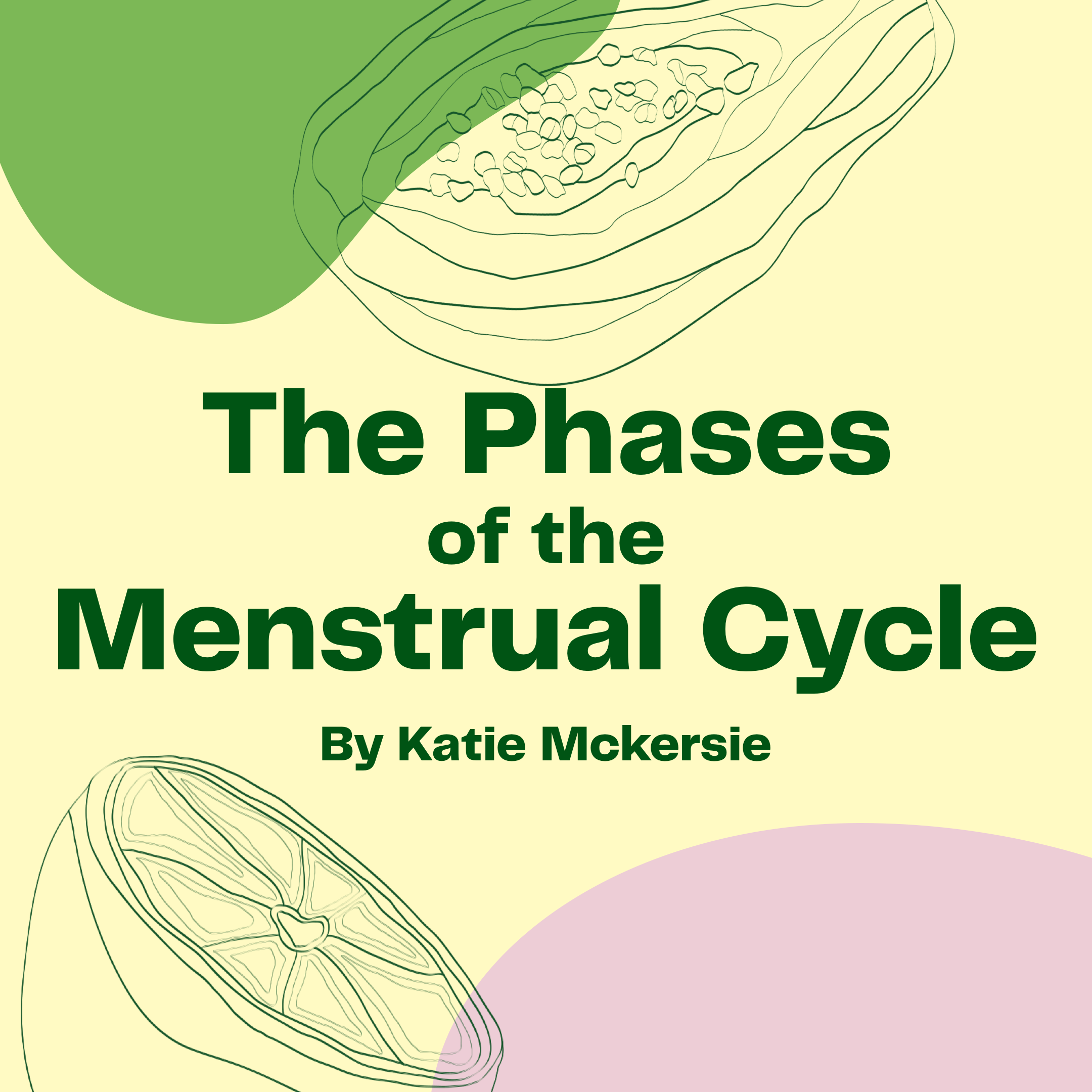 The Phases of the Menstrual Cycle